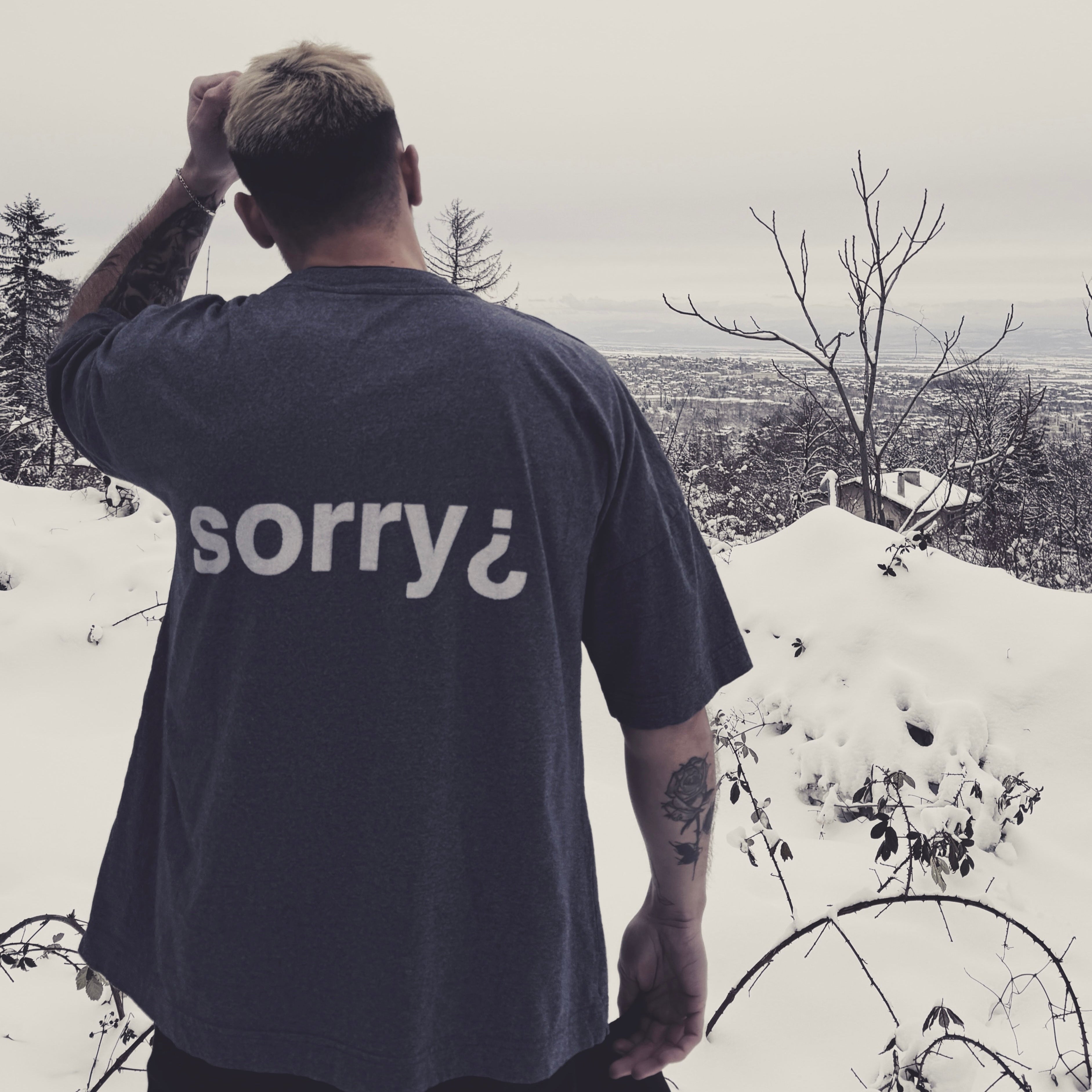 ТЕНИСКА sorry?